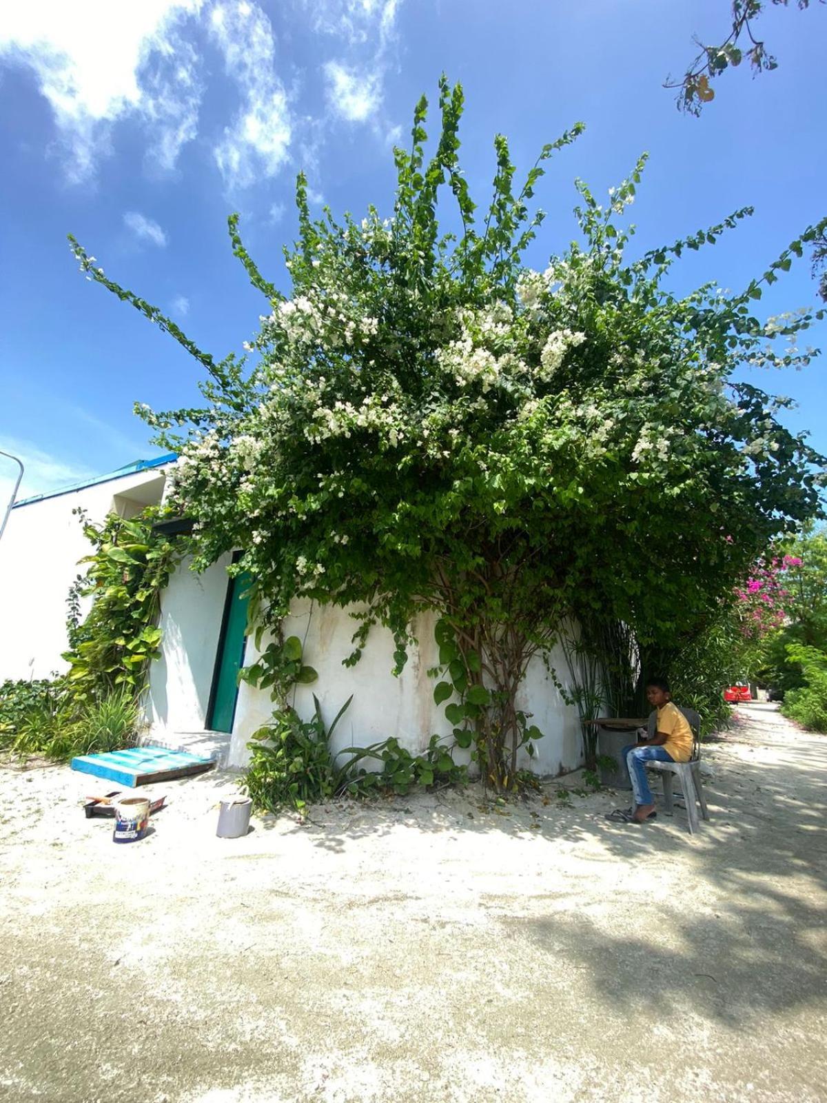 Maavaharu Guest House Himmafushi Exterior foto